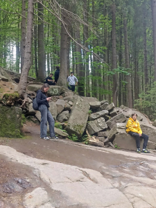 image copy 1736x2312 2