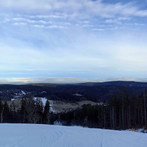 IMG 20240111 093627 (1)