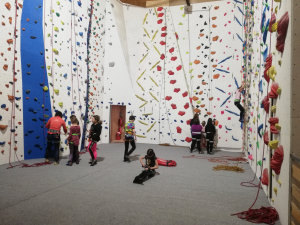 IMG 20240131 095630 resized 20240201 054148462