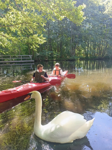 original 07300759-a346-494f-bb18-1f28fa4ad30d IMG 20240515 103524