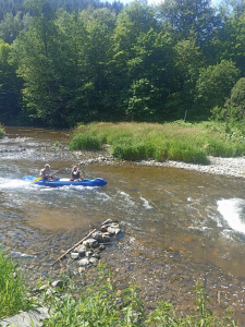 IMG 20240625 113226 copy 1388x1849 1