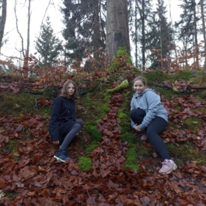 IMG 20221108 145102 copy 1200x1200